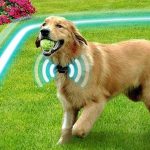 Wireless Dog Fence