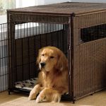 Indoor-and-Outdoor-Dog-Crates