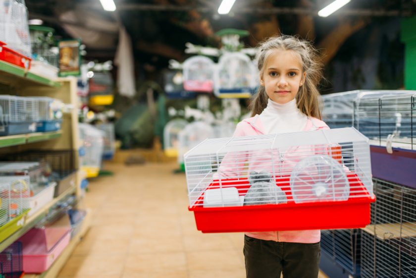 Hamster cages